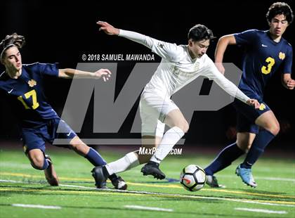 Thumbnail 1 in Notre Dame (SO) vs  St. Francis photogallery.