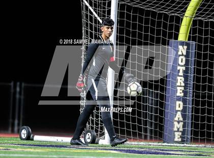Thumbnail 3 in Notre Dame (SO) vs  St. Francis photogallery.