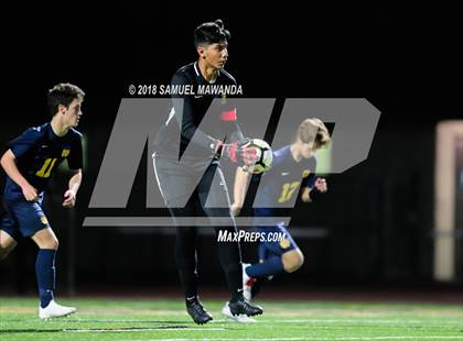 Thumbnail 1 in Notre Dame (SO) vs  St. Francis photogallery.