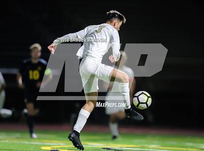 Thumbnail 3 in Notre Dame (SO) vs  St. Francis photogallery.