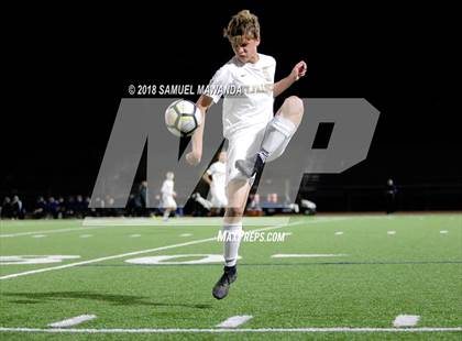 Thumbnail 1 in Notre Dame (SO) vs  St. Francis photogallery.
