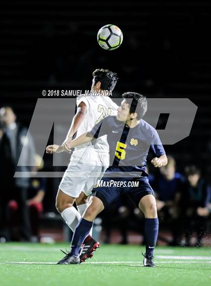 Thumbnail 2 in Notre Dame (SO) vs  St. Francis photogallery.