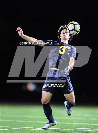 Thumbnail 1 in Notre Dame (SO) vs  St. Francis photogallery.