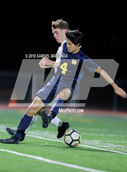 Thumbnail 3 in Notre Dame (SO) vs  St. Francis photogallery.