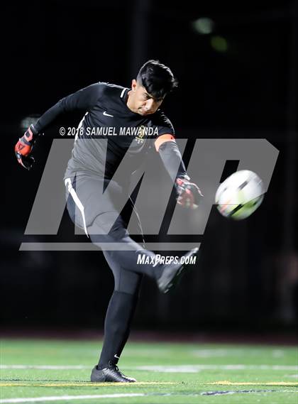 Thumbnail 3 in Notre Dame (SO) vs  St. Francis photogallery.