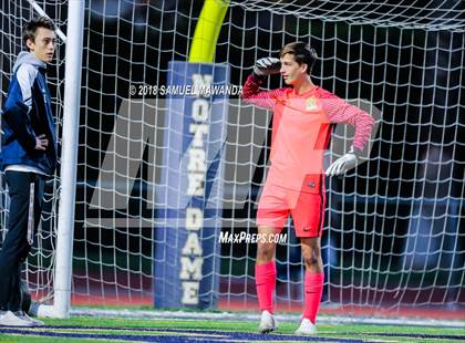Thumbnail 3 in Notre Dame (SO) vs  St. Francis photogallery.