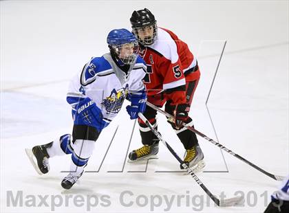 Thumbnail 2 in Warde/Ludlowe vs. East Catholic (CIAC Division II Final) photogallery.