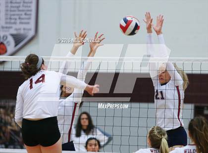 Thumbnail 3 in Allen @ Plano photogallery.