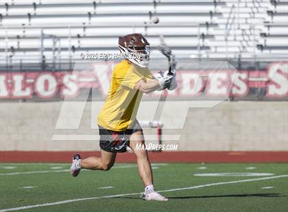 Thumbnail 3 in Crespi @ Palos Verdes photogallery.