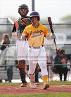 Photo from the gallery "Bloom-Carroll @ Amanda-Clearcreek"