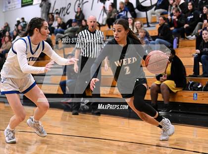 Thumbnail 3 in University Prep @ Weed (Lady Hornet Classic) photogallery.