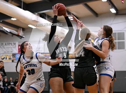 Thumbnail 3 in University Prep @ Weed (Lady Hornet Classic) photogallery.