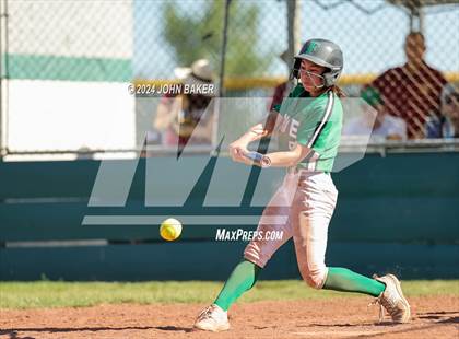 Thumbnail 1 in Churchill County vs. Pahrump Valley (NIAA 3A State Winners Semifinals) photogallery.