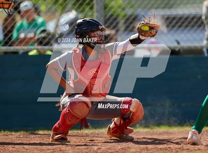 Thumbnail 3 in Churchill County vs. Pahrump Valley (NIAA 3A State Winners Semifinals) photogallery.
