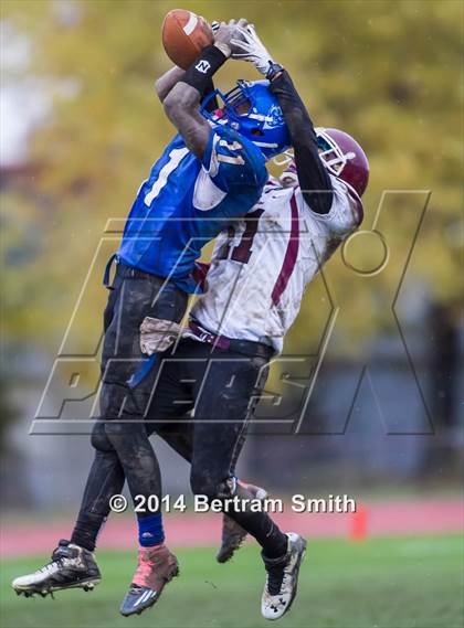 Thumbnail 2 in Orchard Park @ Kenmore West photogallery.