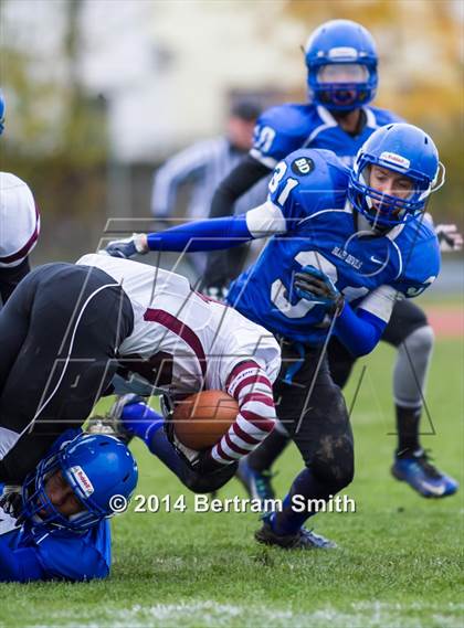 Thumbnail 2 in Orchard Park @ Kenmore West photogallery.
