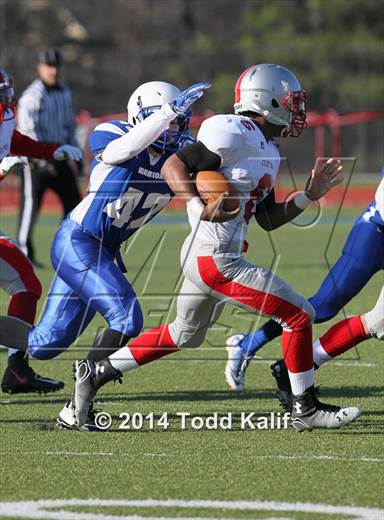 null - Photo 21