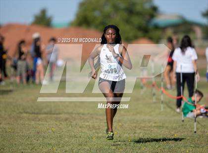 Thumbnail 2 in New Mexico Military Institute XC Invitational photogallery.