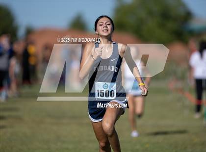 Thumbnail 2 in New Mexico Military Institute XC Invitational photogallery.