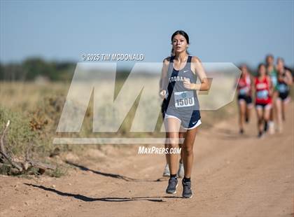 Thumbnail 1 in New Mexico Military Institute XC Invitational photogallery.