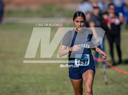 Thumbnail 1 in New Mexico Military Institute XC Invitational photogallery.
