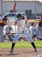 Photo from the gallery "Monterey Trail @ Laguna Creek"