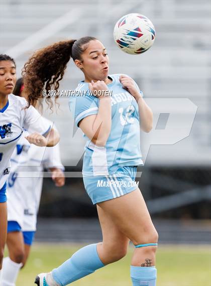 Thumbnail 2 in Westover @ Overhills photogallery.