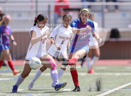 Thumbnail 3 in Harlingen vs. Westlake (UIL 6A Soccer Regional Semifinals) photogallery.