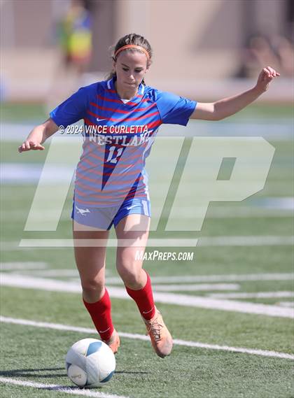 Thumbnail 2 in Harlingen vs. Westlake (UIL 6A Soccer Regional Semifinals) photogallery.