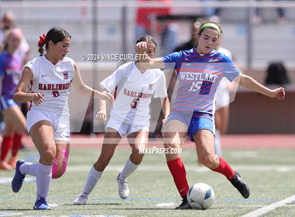 Thumbnail 1 in Harlingen vs. Westlake (UIL 6A Soccer Regional Semifinals) photogallery.