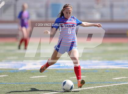 Thumbnail 1 in Harlingen vs. Westlake (UIL 6A Soccer Regional Semifinals) photogallery.