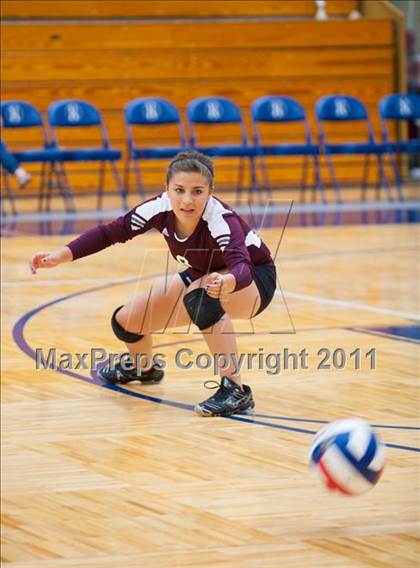 Thumbnail 3 in Marshall @ O'Connor photogallery.