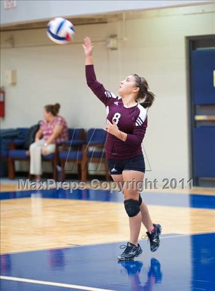 Thumbnail 3 in Marshall @ O'Connor photogallery.