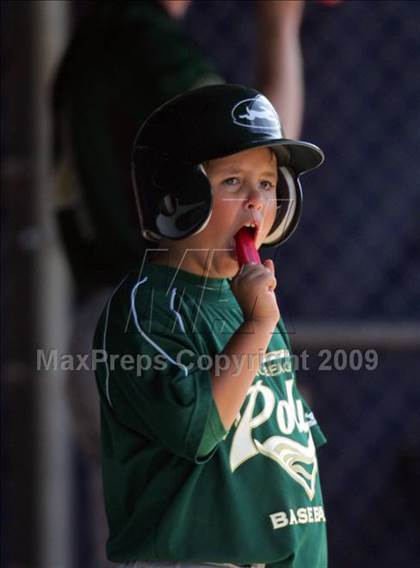 Thumbnail 1 in Poly @ Tesoro (CIF SS D1 Playoffs) photogallery.