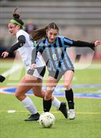 Photo from the gallery "Niwot @ Mountain Range"