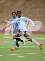 Photo from the gallery "Niwot @ Mountain Range"