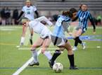 Photo from the gallery "Niwot @ Mountain Range"