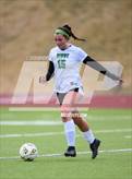 Photo from the gallery "Niwot @ Mountain Range"