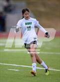 Photo from the gallery "Niwot @ Mountain Range"