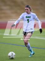 Photo from the gallery "Niwot @ Mountain Range"