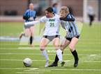 Photo from the gallery "Niwot @ Mountain Range"
