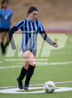 Photo from the gallery "Niwot @ Mountain Range"