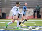 Photo from the gallery "Niwot @ Mountain Range"