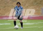 Photo from the gallery "Niwot @ Mountain Range"