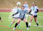 Photo from the gallery "Niwot @ Mountain Range"