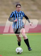 Photo from the gallery "Niwot @ Mountain Range"