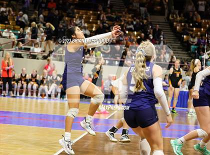Thumbnail 1 in Platte Valley vs. Resurrection Christian (CHSAA 3A Semifinal) photogallery.