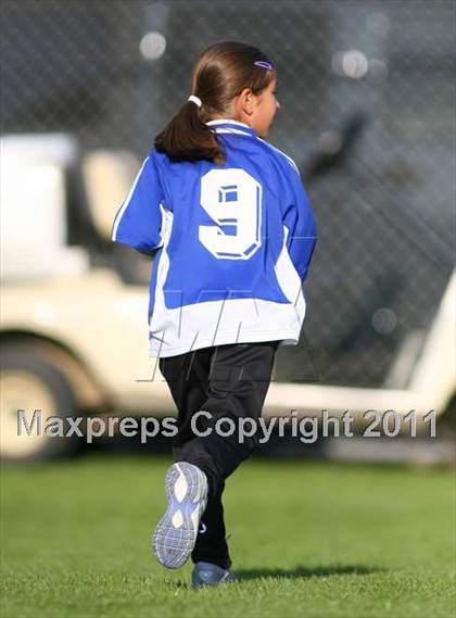 Thumbnail 1 in Ketcham @ Jay photogallery.