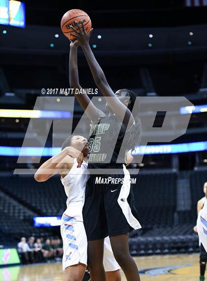 Thumbnail 3 in Bishop Machebeuf @ Manual photogallery.