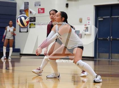 Thumbnail 1 in Weiss vs. Friendswood (UIL 5A Volleyball Division II  Region 3 Semifinal)  photogallery.